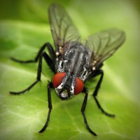 /album/apswagytlu/photolia-a01-jpg/