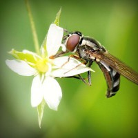 /album/apswagytlu/photolia-a02-jpg/