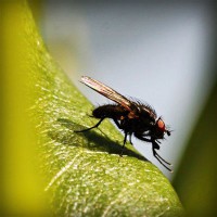 /album/apswagytlu/photolia-a04-jpg/