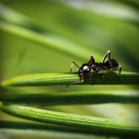 /album/apswagytlu/photolia-a05-jpg/