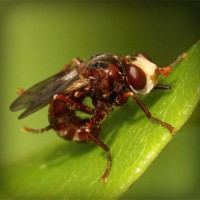 /album/apswagytlu/photolia-a06-jpg/