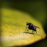 /album/apswagytlu/photolia-a07-jpg/