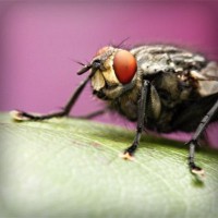 /album/apswagytlu/photolia-a08-jpg/